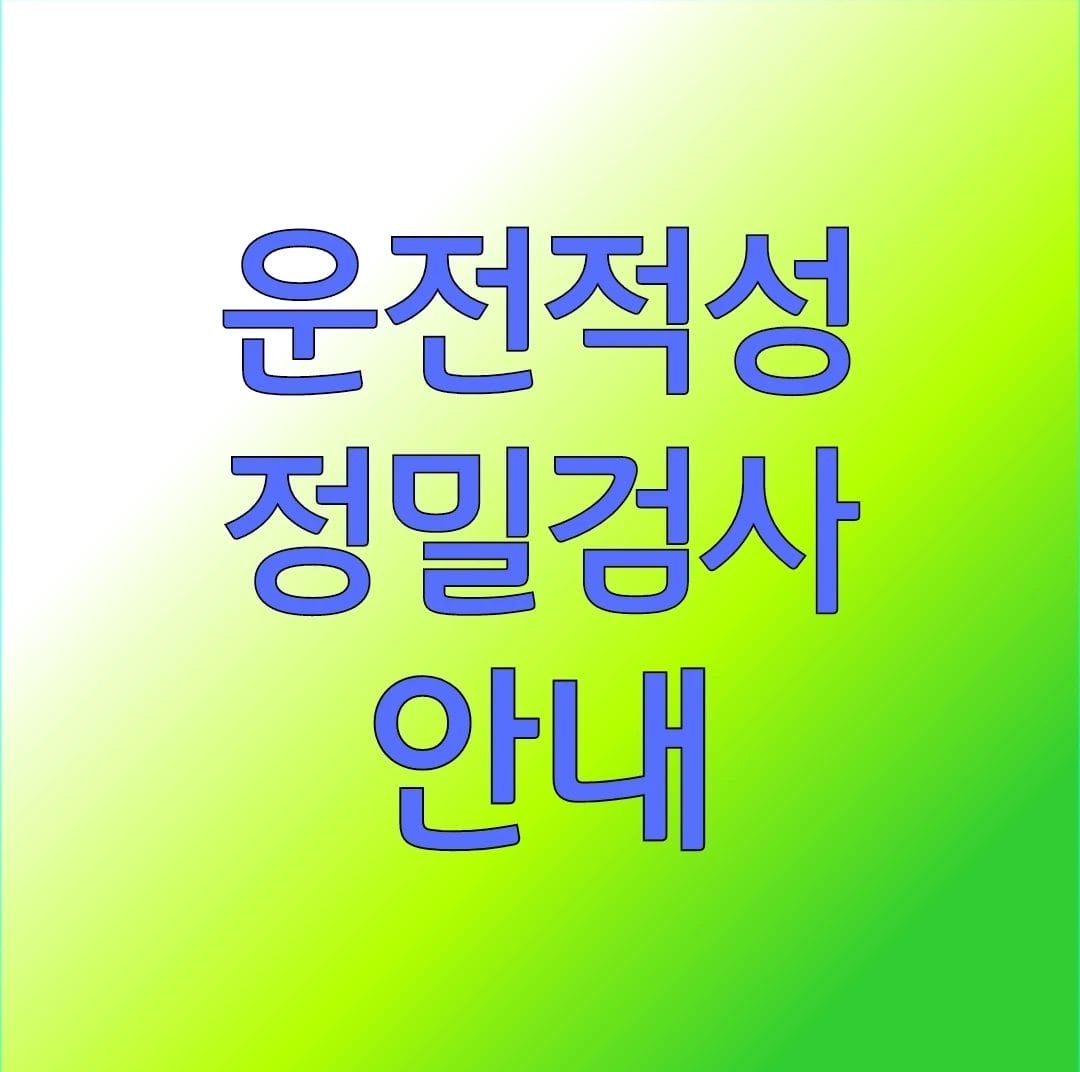 운전적성정밀검사